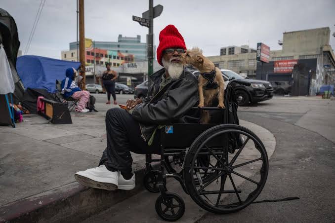 Accounting glitch in Skid Row shelter data inflated L.A.'s 2026 homeless count, making modest rise appear as 3.4% increase; nearly half of jump traced to error