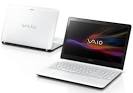 Notebook sony vaio 8gb