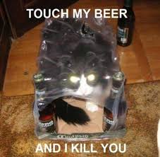 Image result for funny animal pictures