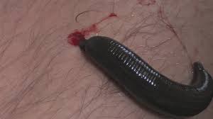 Résultat de recherche d'images pour 