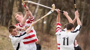 Résultat de recherche d'images pour "shinty"