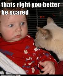 thats right you better be scared. Favorite. thats right you better be scared. Recaption See All Captions. By jas4252 - h6CE20383