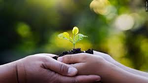 City of Palm Springs hosts community Earth Day celebration