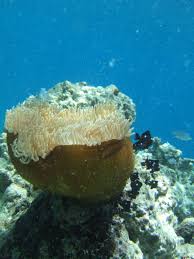 Image result for pictures gallery for amazing wonders of the world