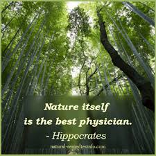 Natural Remedies Information - Treat Conditions Naturally via Relatably.com