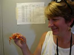 Educator-at-sea, Liz Baird, holds a bottom-dwelling Galathidae lobster. Wire baskets were baited with cat food to lure crustaceans, which were then brought ... - baird_600