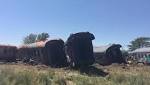 [LISTEN] Prasa: Train vandalism national