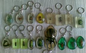 Image result for gantungan kunci dari bioplastik