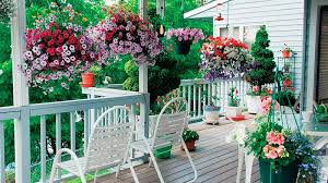 Image result for ყვავილების მოვლა