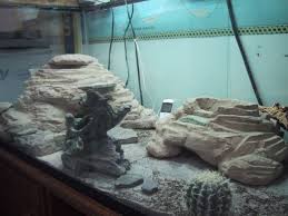 Resultado de imagem para leopard gecko terrarium ideas
