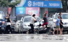 뉴시스 - News update