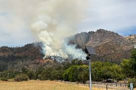 ledson fire Picture