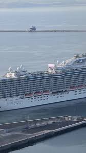 Search underway for missing cruise crewmember