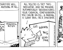 Image of Calvin and Hobbes comic strip