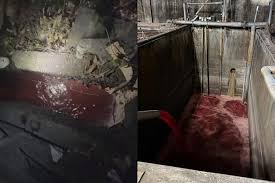 News source: Yahoo新聞