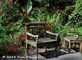 Image result for a red leaved jungle