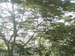 लखनऊ में गर्मी से राहत मिलने की उम्मीद: बारिश की पहली दस्तक कभी भी; 38 डिग्री अधिकतम रहेगा पारा