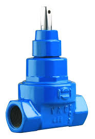 VAG BETA®-HA Gate Valve: resilient-seated, with female ...