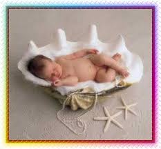 images?q=tbn:ANd9GcRGNRaWDgiiQ64OBe3J_FQ2Cv1iUyuog62yUSN65aWtSrxGwH9NCA