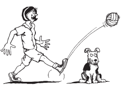 Image result for Find three examples in your life that show the correlation between inertia and Newton’s 1st Law, and the amount of mass something has