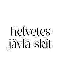 My favourite quote - &quot;helvetes jävla skit&quot; by Therese Sennerholt ... via Relatably.com