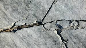 News source: Midi Libre