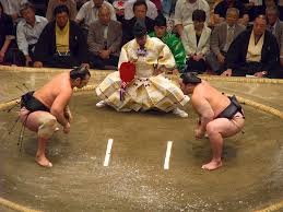 Hasil gambar untuk olahraga sumo