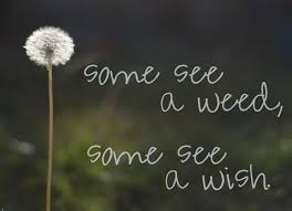 Beautiful Quotes About Nature - Created by Maira Khan - In ... via Relatably.com