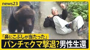 岩手・クマに襲われ男性（85）死亡か…相次ぐ被害 ヒグマをパンチで撃退？恐怖の攻防劇 “梅雨”に向け必要な注意も【news23】
