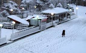 Image result for SHIMLA