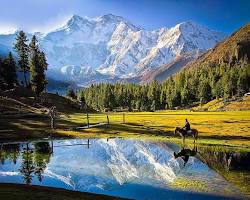 Image of Nanga Parbat from Fairy Meadows