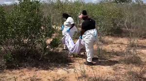 Al Jazeera - News update