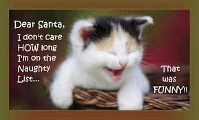 Quote Santa Funny Humor Funny Quotes Christmas Humor Christmas ... via Relatably.com