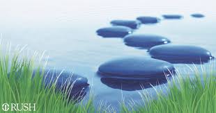 Image result for stepping stones of healthcare politics