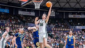 Hawaii Rainbow Warriors vs. UCSD Tritons Basketball Game Recap