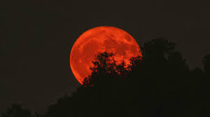 %E0%A6%9A%E0%A6%A8%E0%A7%8D%E0%A6%A6%E0%A7%8D%E0%A6%B0%E0%A6%97%E0%A7%8D%E0%A6%B0%E0%A6%B9%E0%A6%A3