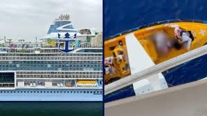 Cruise Hive - News update