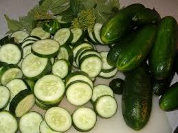 Image result for cucumber