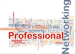 Image result for Professional Network