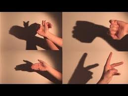 Image result for shadow signs