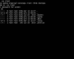 Obraz: Polecenie ls w systemie Linux
