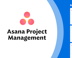 Image of Asana project management tool