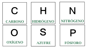 Resultado de imagen para bioelementos primarios