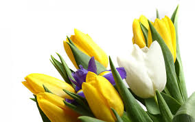 images