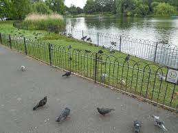 Résultat de recherche d'images pour "fence london"