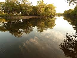 Resultado de imagem para VENEZUELA