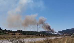 Ayto. Algeciras - News update