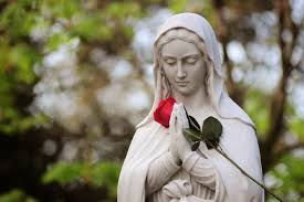 Resultado de imagen de consagración virgen maria diaria