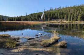 New Steam Vent Grabs Attention in Yellowstone National Park