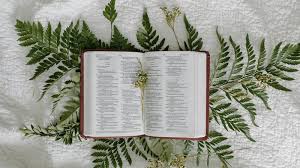 Día de San Edmundo rey: la oración para tener su guía y protección este jueves